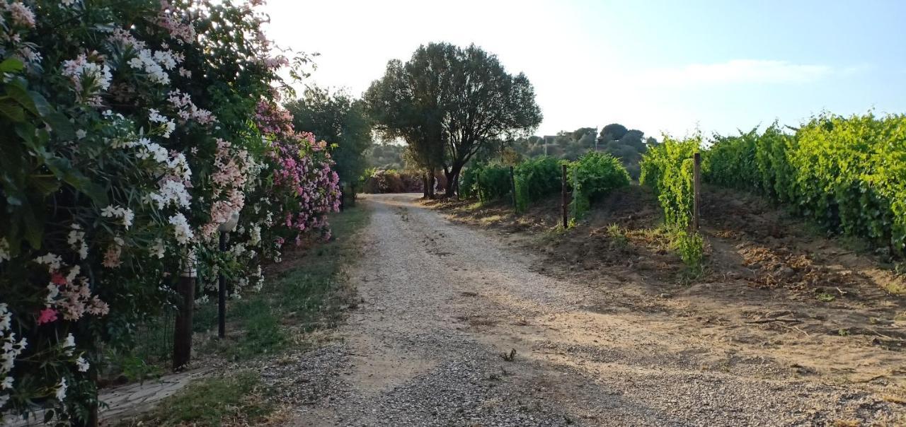 Agriturismo Muristene Vila Dorgali Exterior foto
