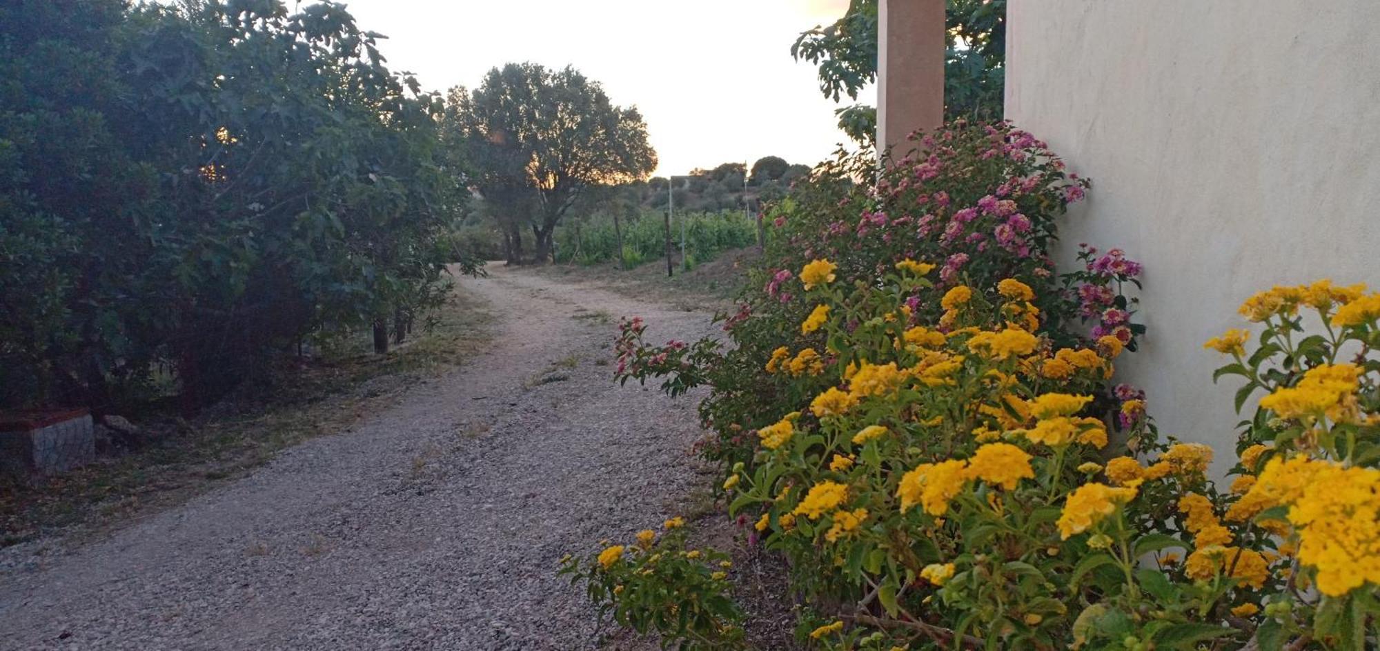 Agriturismo Muristene Vila Dorgali Exterior foto